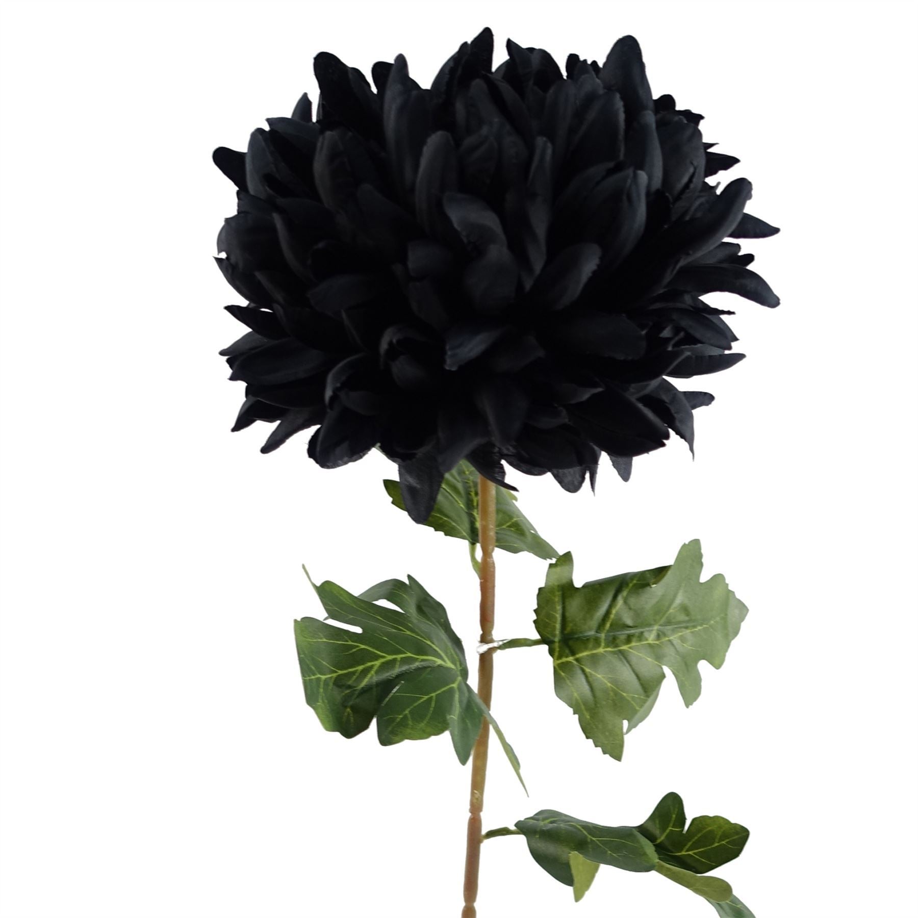 Artificial Pack of 6 x 75cm Extra Large Reflex Chrysanthemum - Black - Premium Quality