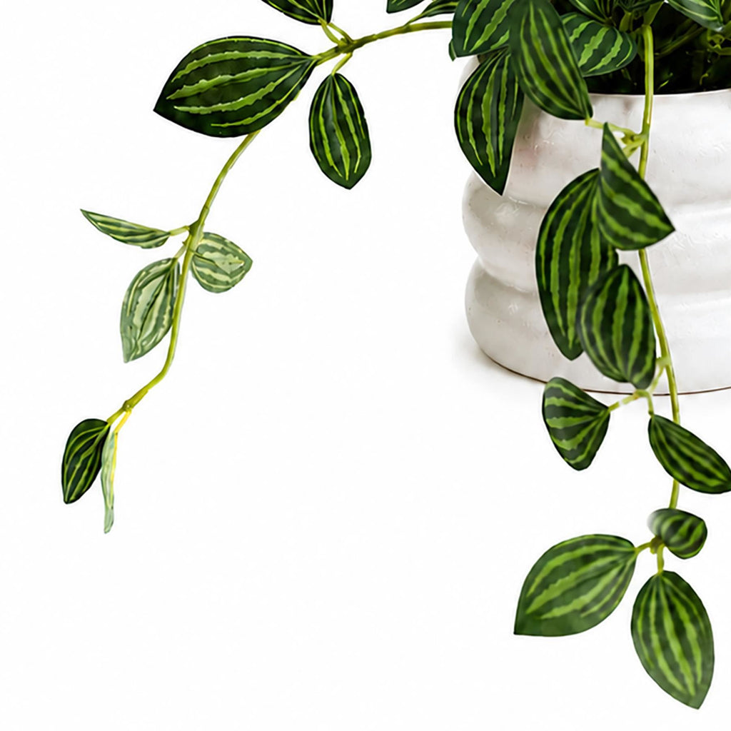 Faux Trailing Variegated Leaf Plant with Flowers, 45cm in White Pot