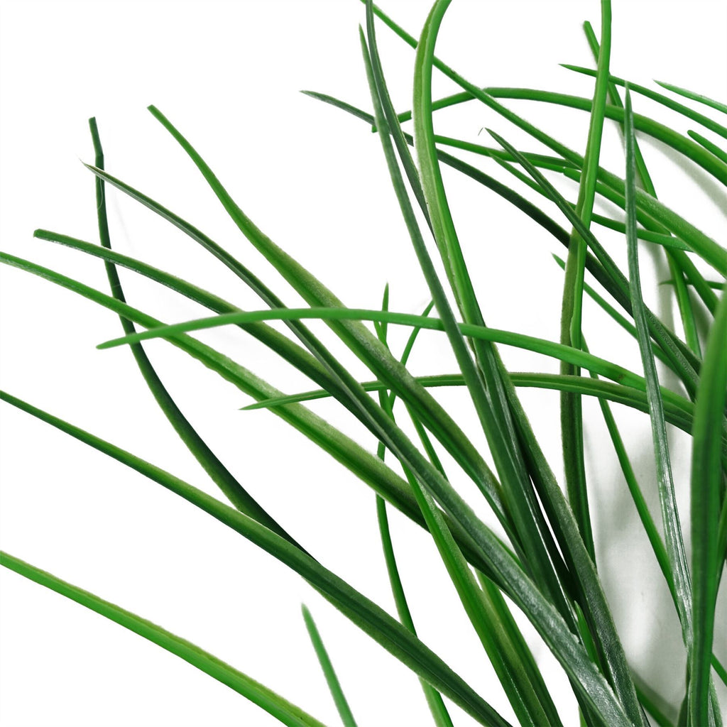 Pack of 6 x 90cm Artificial Grass Stem Spray - Premium Quality