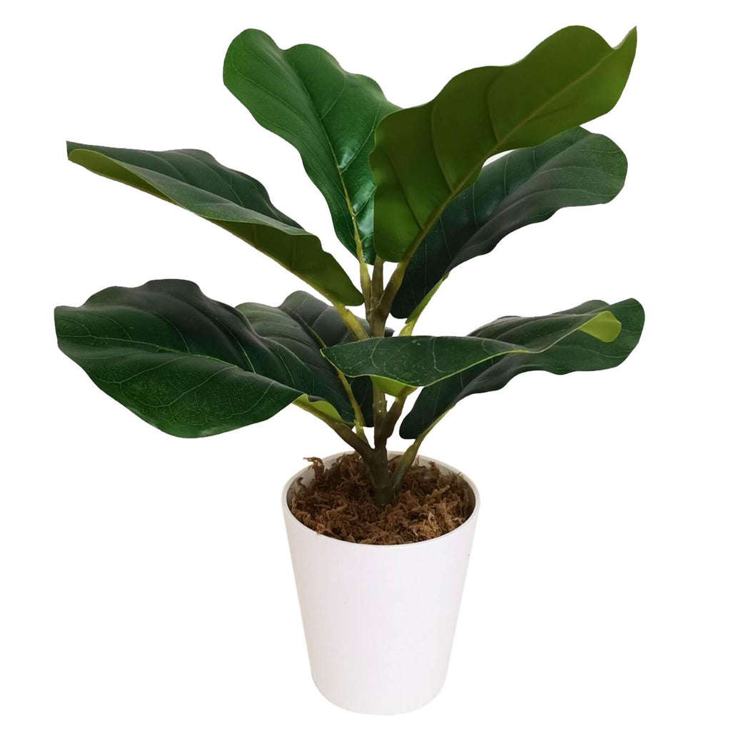 38cm Potted Artificial Fiddle Fig Plant - Premium Quality