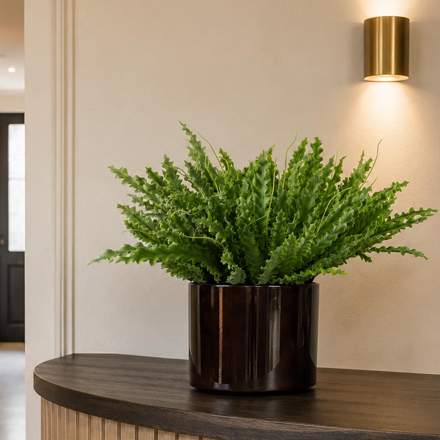 12 x 40cm Artificial Crocodile Fern Plant - Premium Quality (image 8 of 8)
