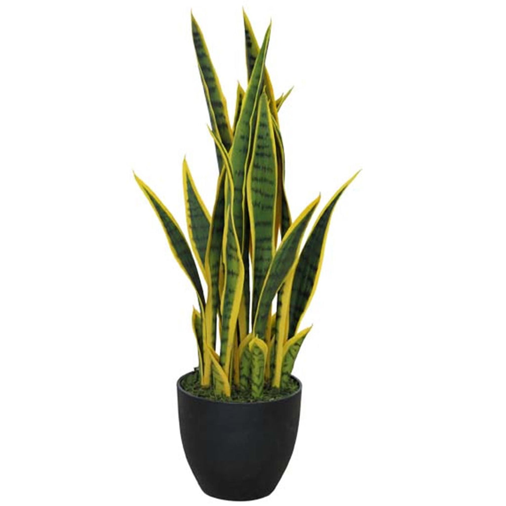 70cm Artificial Sansevieria with pot - Premium Quality
