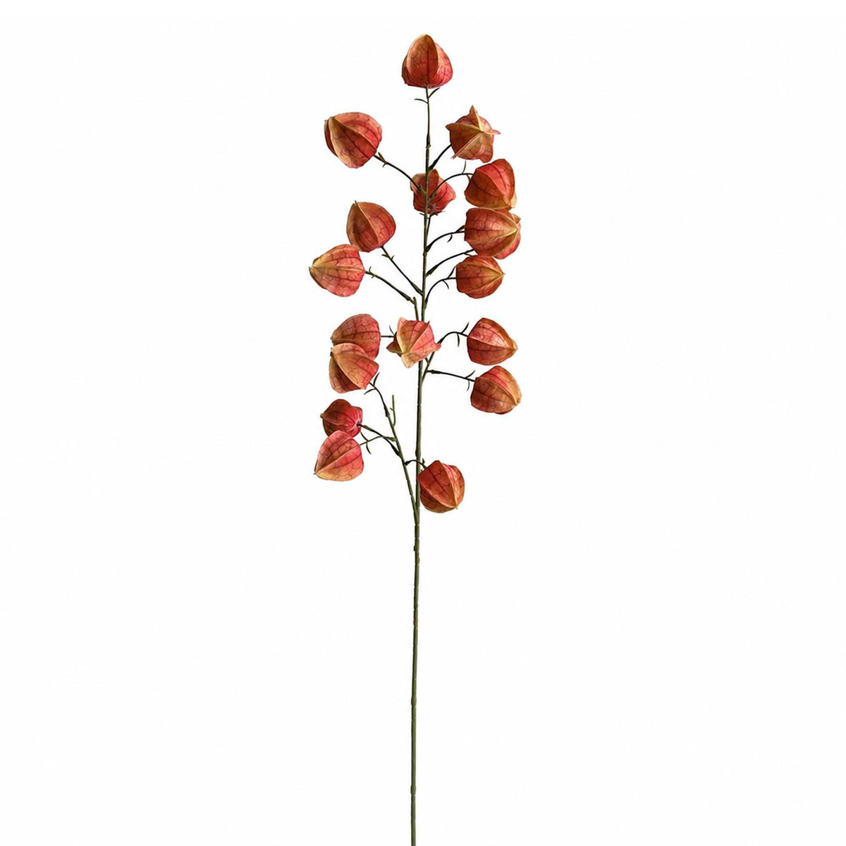 Orange Physalis Faux Chinese Lantern Stems, 100cm - Set of 6 Sprays
