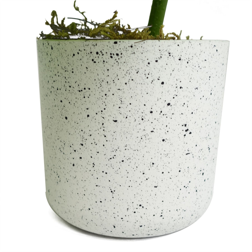 30cm Artificial Green Potted Monstera Trailing Plant - Premium Quality