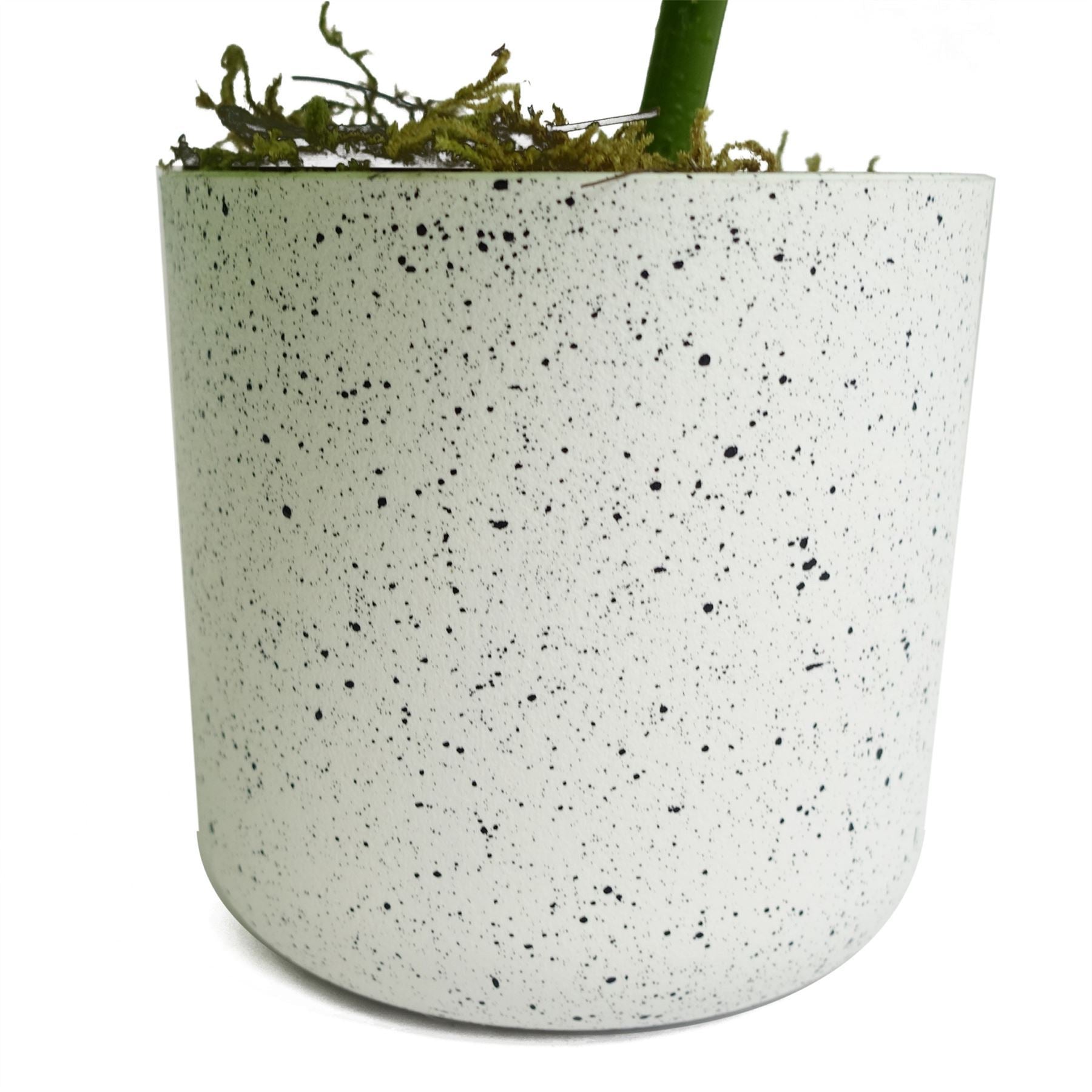 30cm Artificial Green Potted Monstera Trailing Plant - Premium Quality