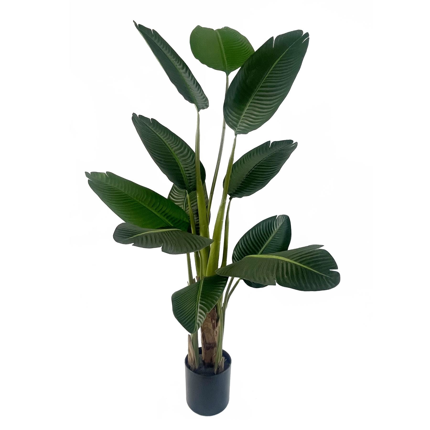 150cm Artificial UV Traveller Banana Palm Tree - Premium Quality