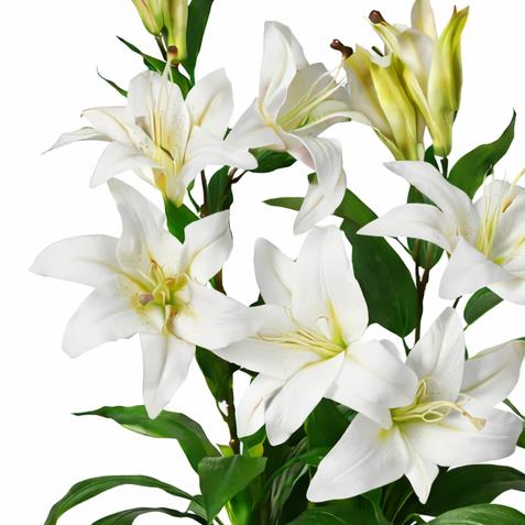 90cm (3ft) Artificial Lily Stargazer Style Lillies Plant Large Flowers White