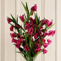 Pack of 6 x 100cm Trumpet Artificial Flower Stem Fuchsia Pink - Premium Quality