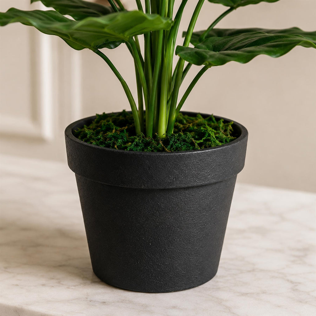 70cm Artificial Bird of Paradise Plant (Strelitzia) - Large (image 4 of 4)