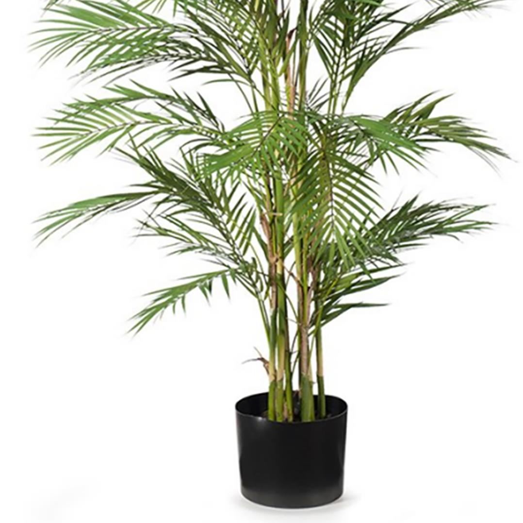 180cm Areca Palm Artificial UV Resistant - Premium Quality
