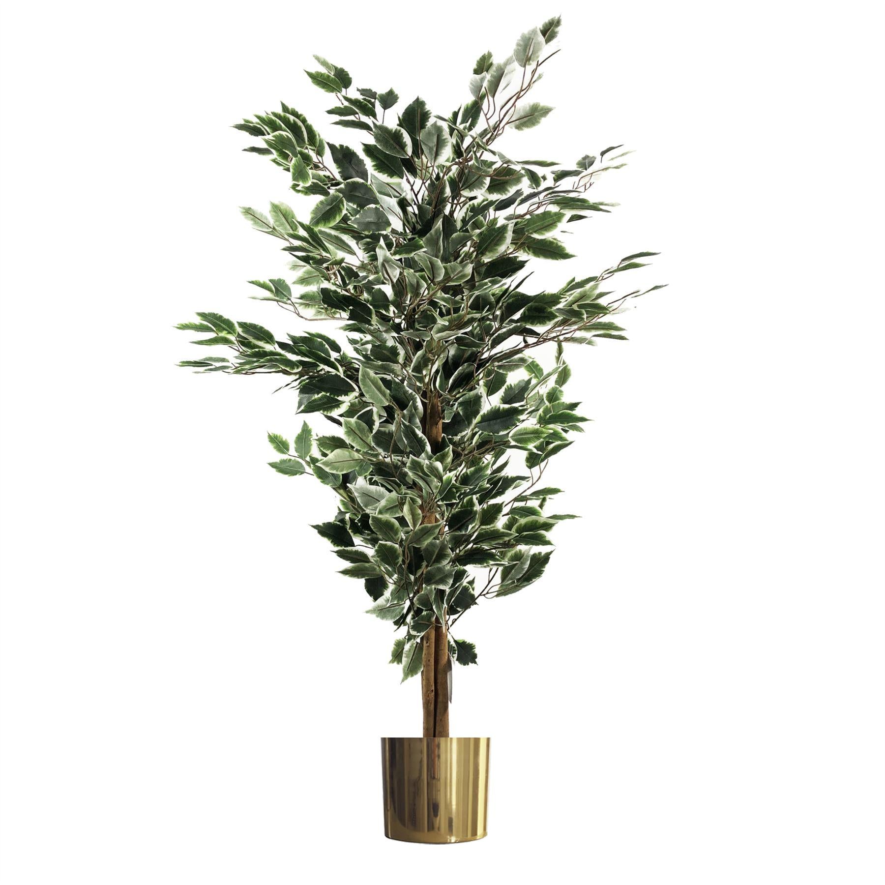 130cm Artificial Tall Variegated WhiteandGreen Bushy Ficus Tree