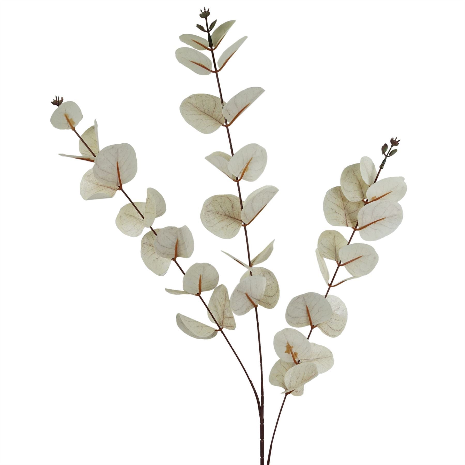 Artificial Pack of 6 x 80cm White Eucalyptus Foliage Stem - Premium Quality