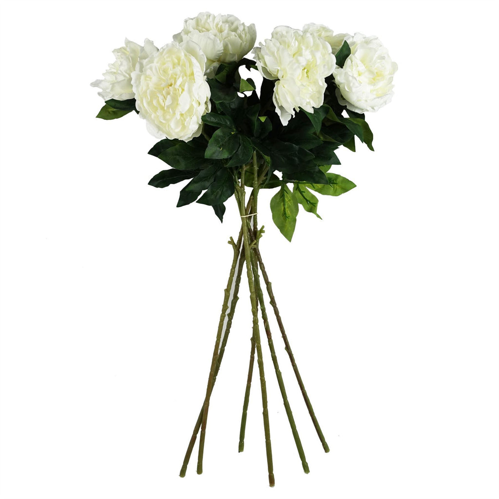 Pack of 6 x 80cm Artificial Cream Peony Stem - Premium Quality