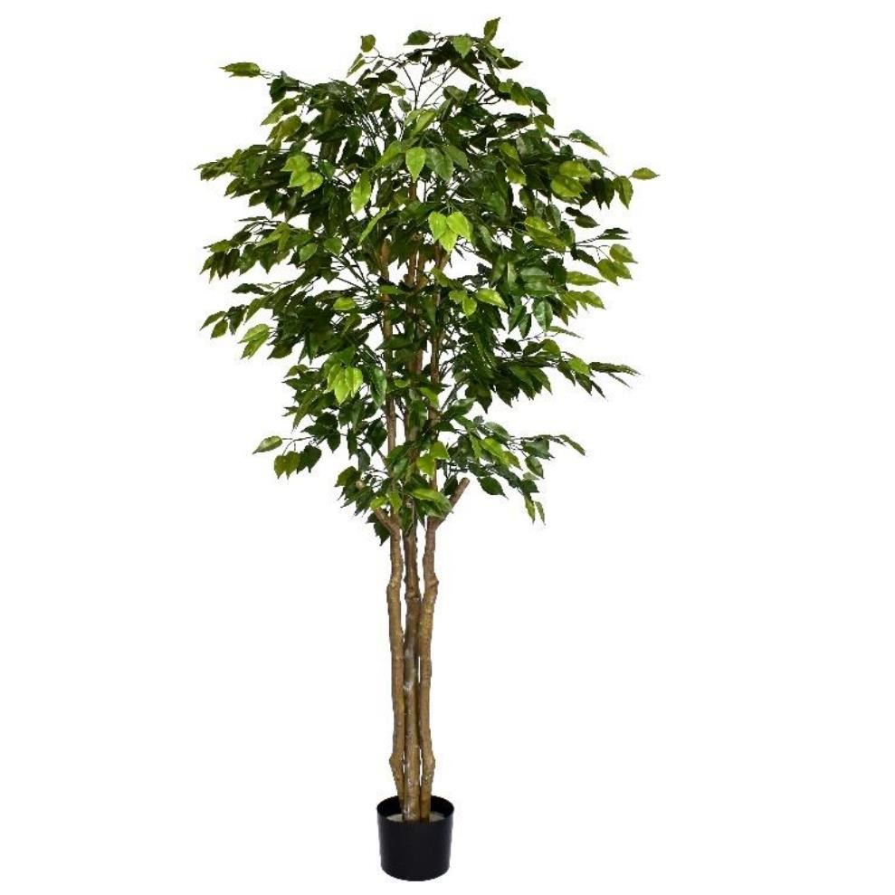 180cm Artificial Fire Retardant Deluxe Retusa Ficus Tree With 1134 Leaves - Premium Quality