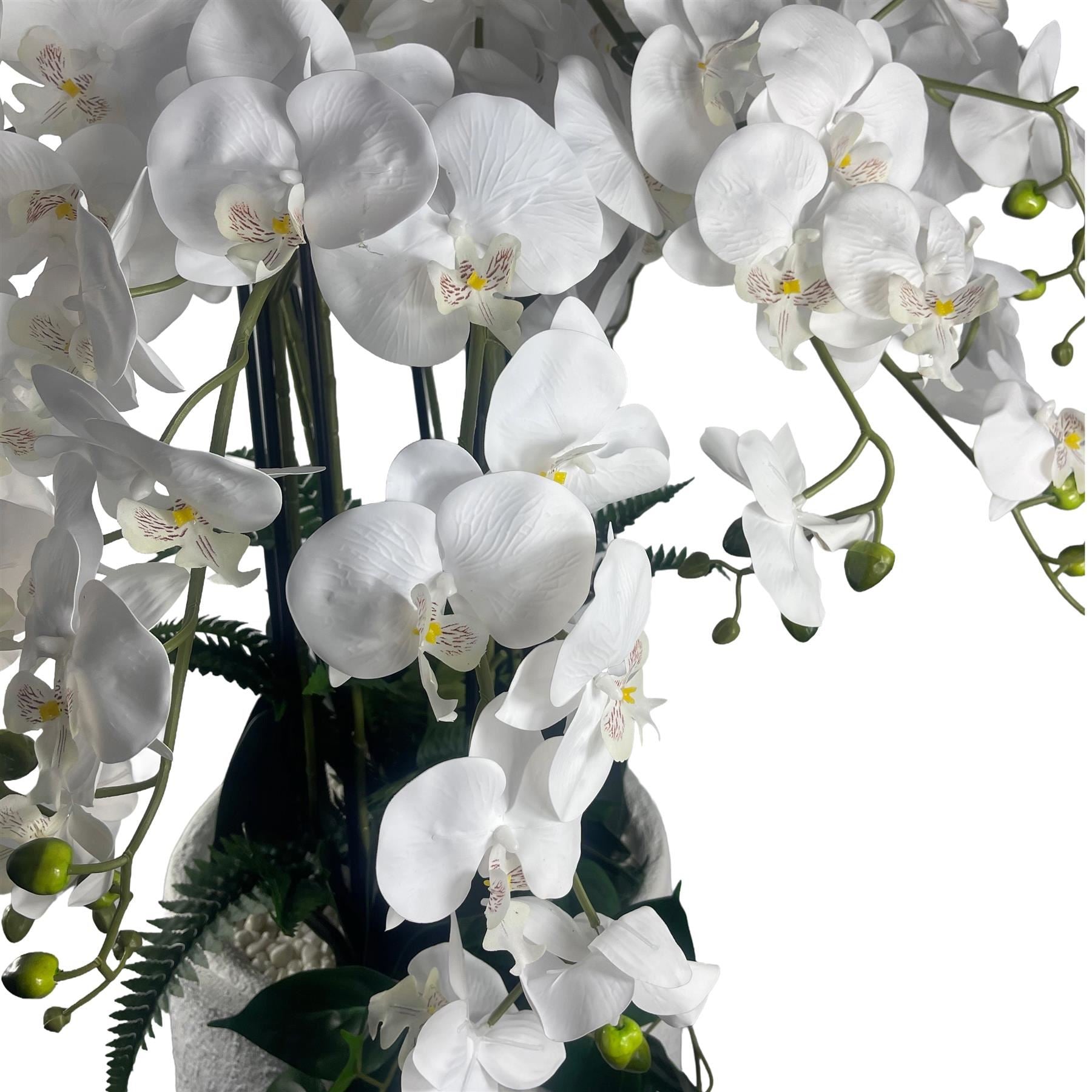 150cm White Orchid Potted Display Artificial - Premium Quality