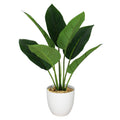 45cm Artificial Aureum Plant - Premium Quality