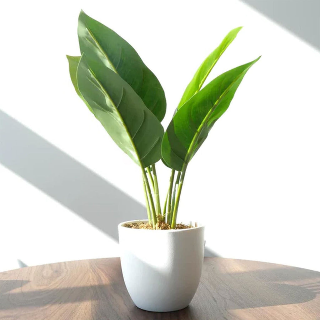 45cm Artificial Aureum Plant - Premium Quality