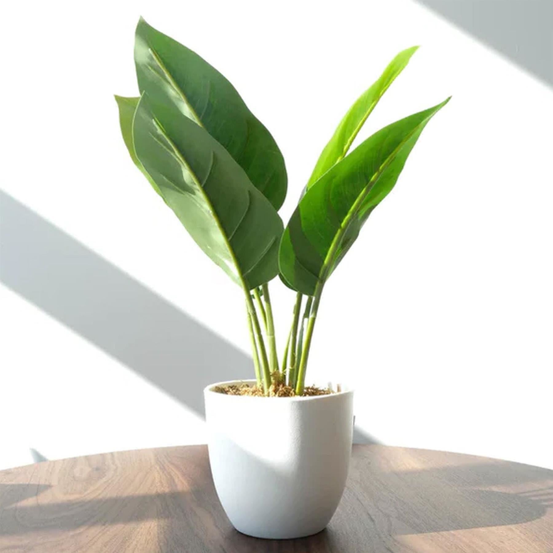 45cm Artificial Aureum Plant - Premium Quality
