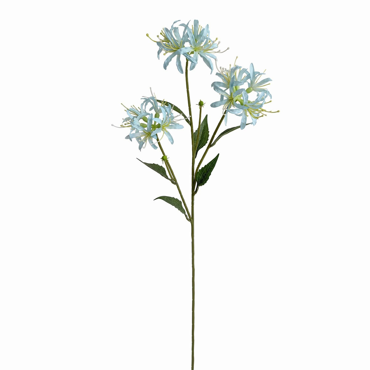 Faux Spider Lily Stems, 72cm with 3 Flower Heads - Set of 6