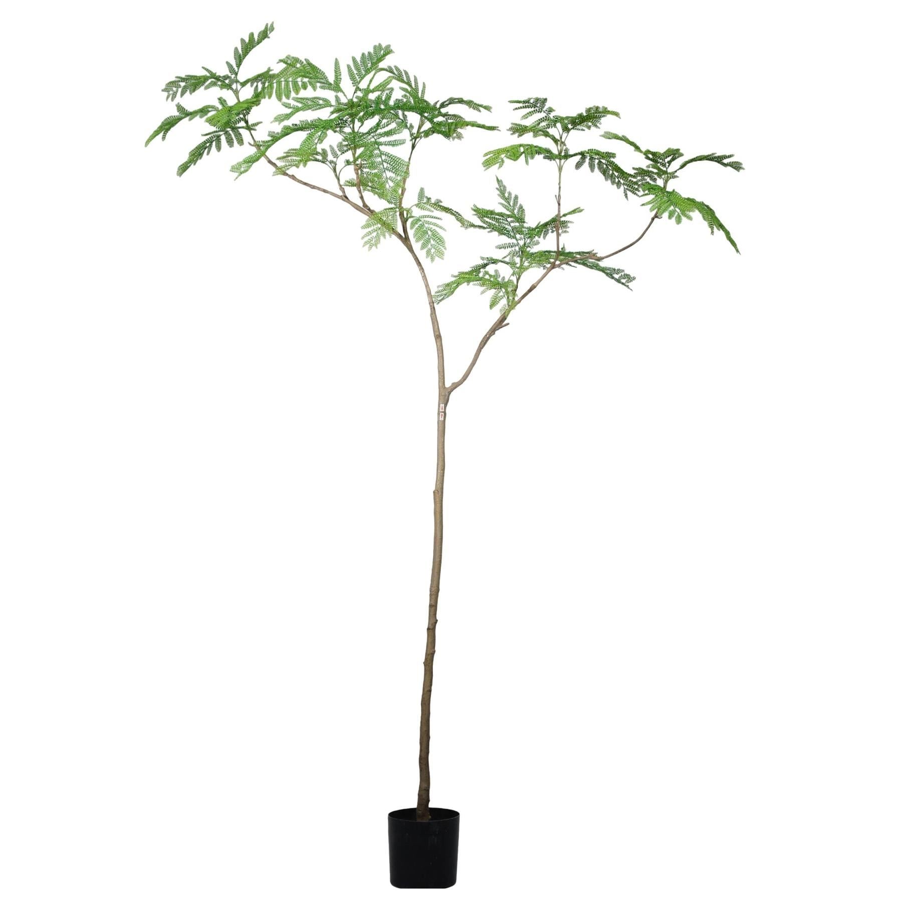 240cm Artificial Jacaranda Realistic Artificial Tree - Premium Quality