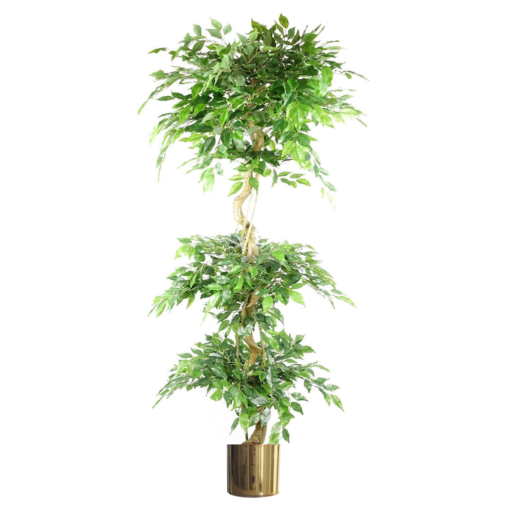 180cm Artificial Twisted Trunk Fruticosa Ficus Tree Triple Ball Topiary 1984 Leaves