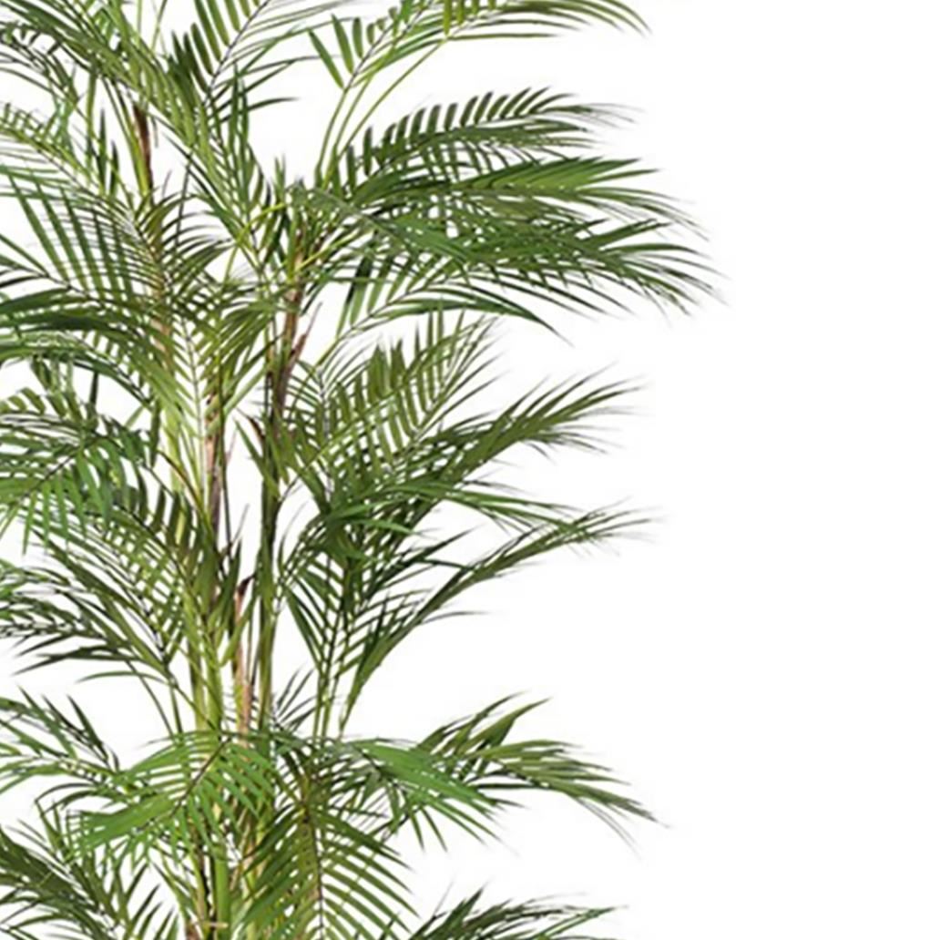 180cm Areca Palm Artificial UV Resistant - Premium Quality