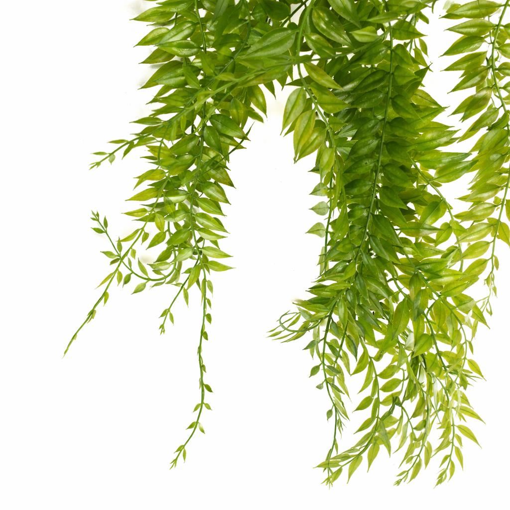 100cm Artificial Trailing Green Botanik Hanging Fern Plant with Wired Top Stems - Premium Quality