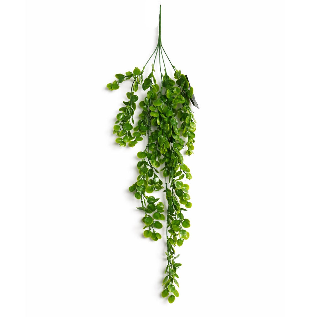 75cm Artificial Trailing Round Botanik Hanging Foliage Plant - Classic Gloss Green - Premium Quality