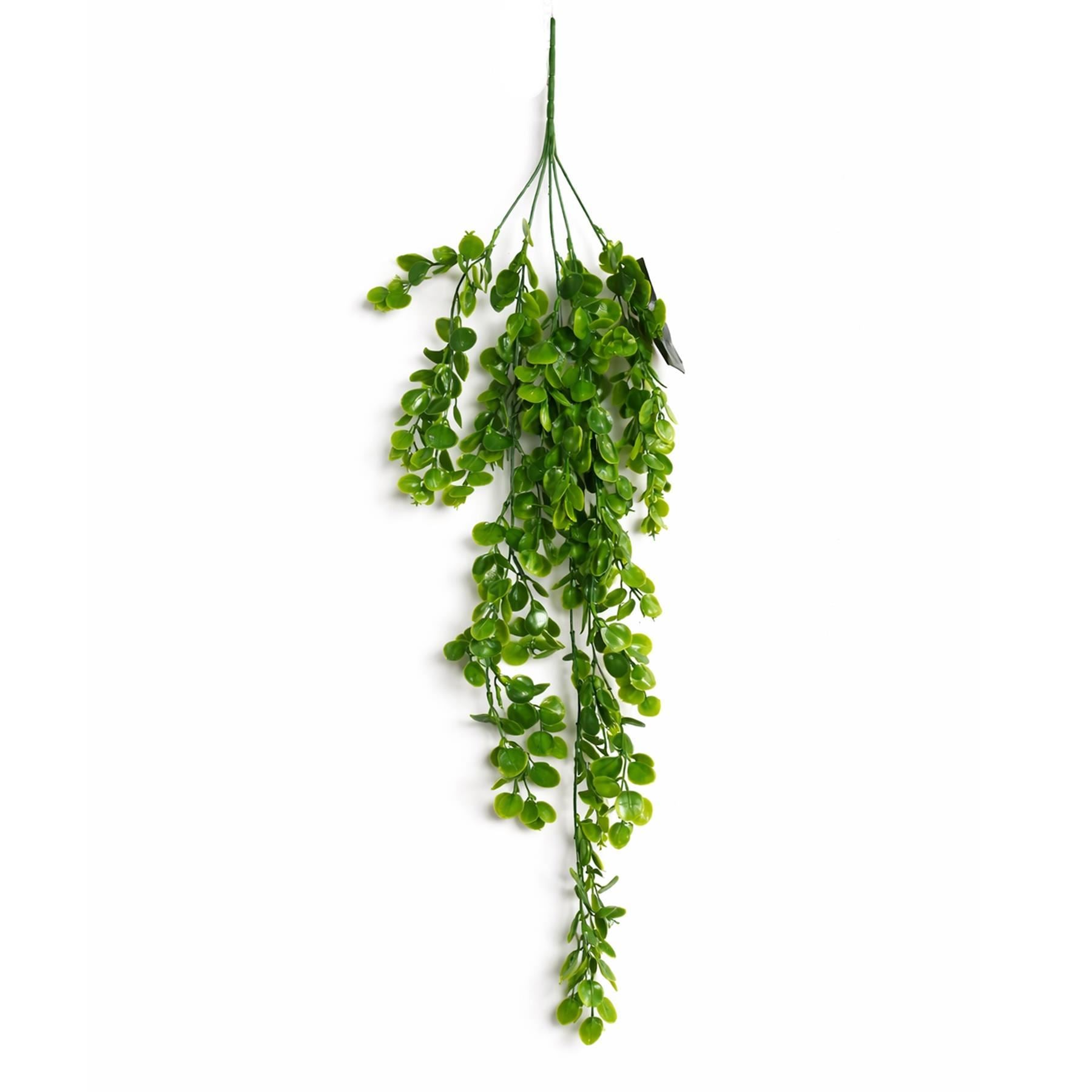 75cm Artificial Trailing Round Botanik Hanging Foliage Plant - Classic Gloss Green - Premium Quality