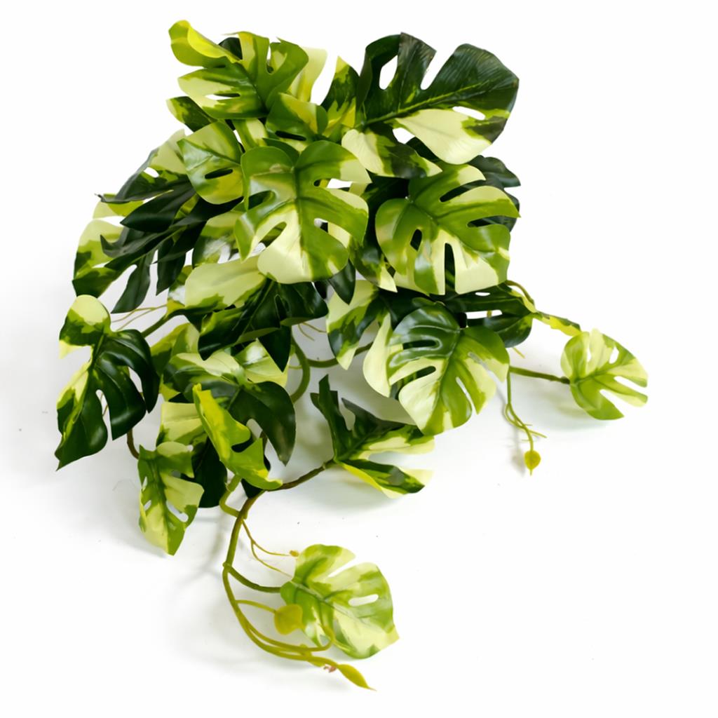 25cm Artificial Trailing Variegated Monstera Vine Plant - Premium Quality