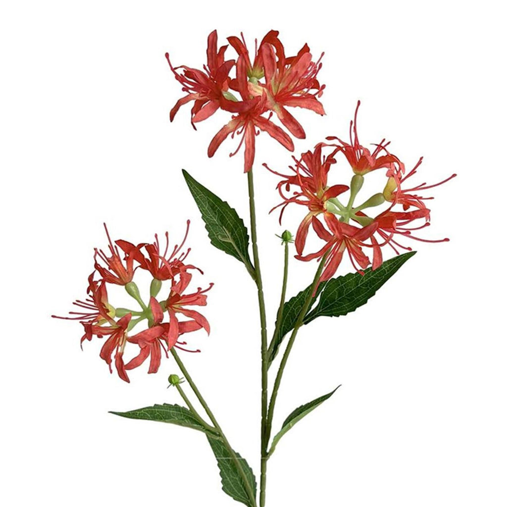 Faux Spider Lily Stems, 72cm with 3 Flower Heads - Set of 6