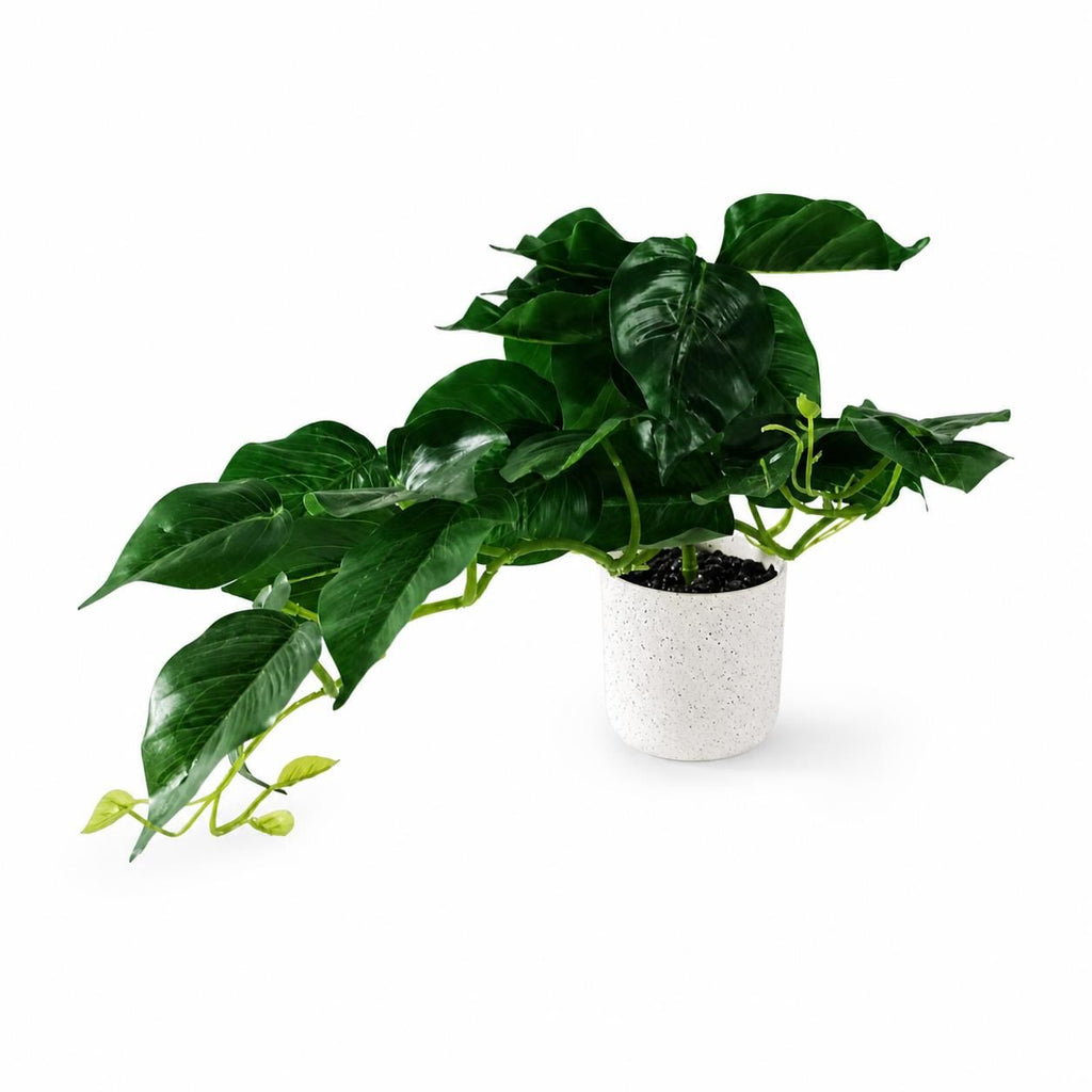 30cm Artificial Mini Pothos in Decorative White Pot - Premium Quality