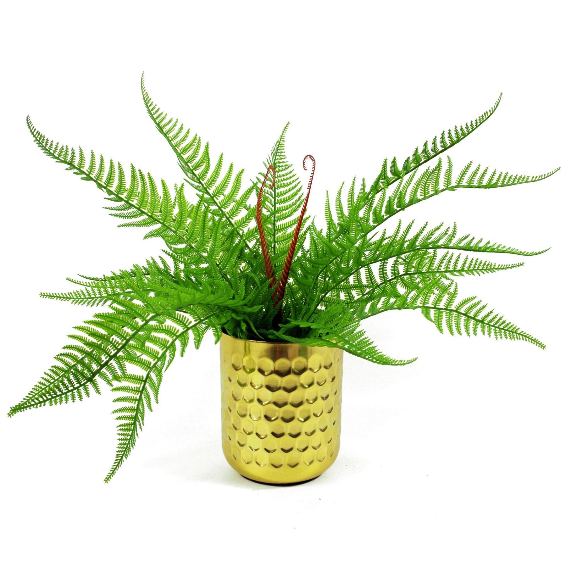 6 x 60cm Artificial Bushy Dixie Wood Fern Dark Green Plant - Premium Quality