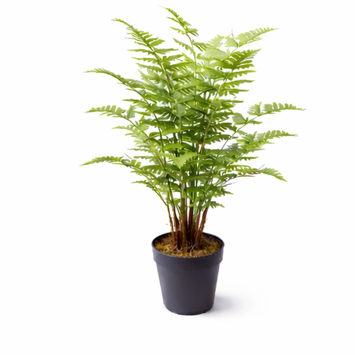 75cm Artificial Fern Plant - Premium Quality