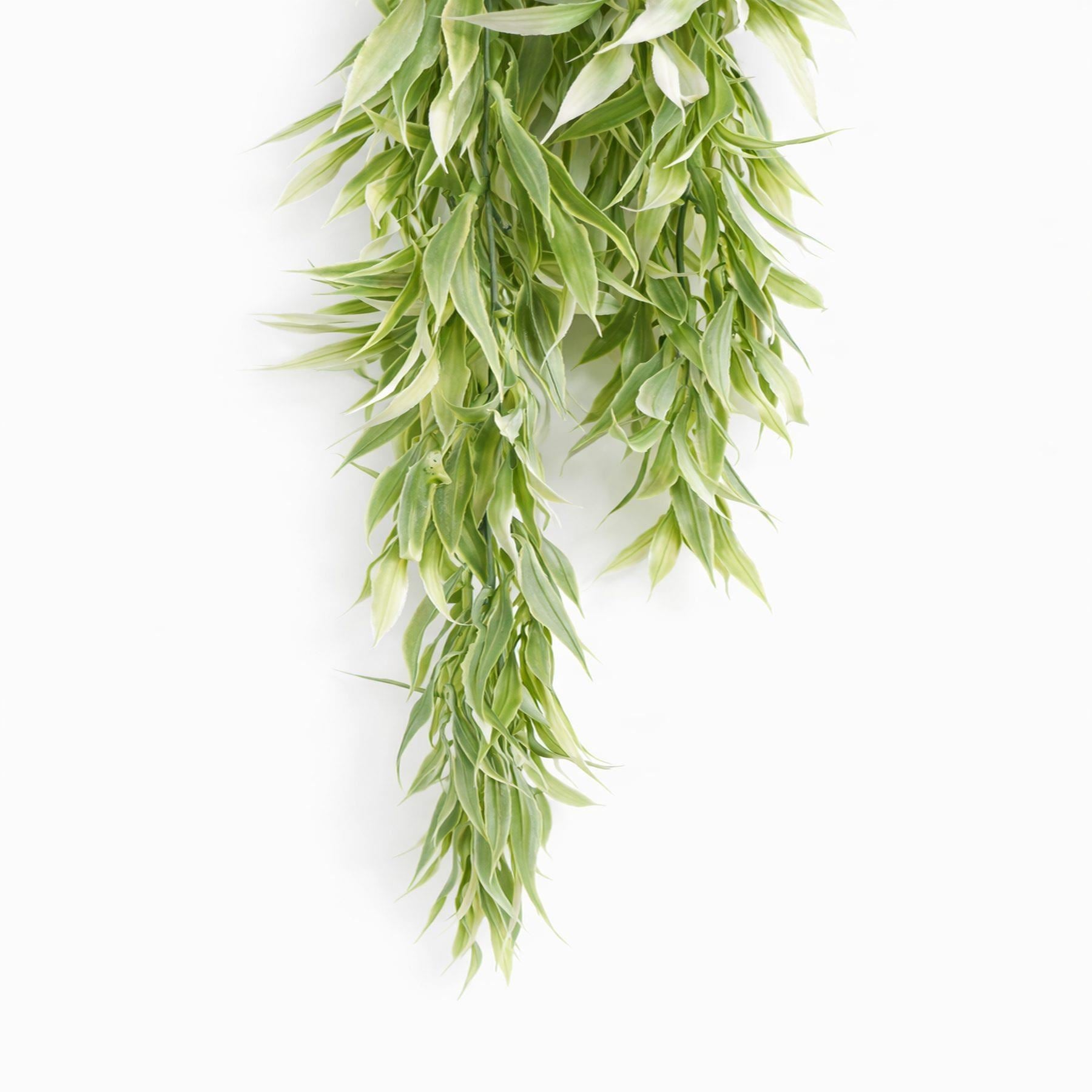 80cm Artificial Italian Ruscus Hanging Plant with Realistic Foliage - Light Green - Premium Quality