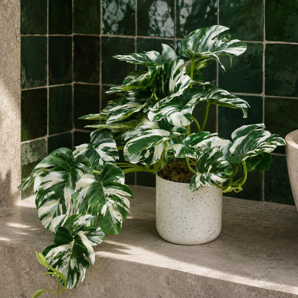 30cm Artificial Variegated Green Potted Monstera Trailing Plant - Premium Quality
