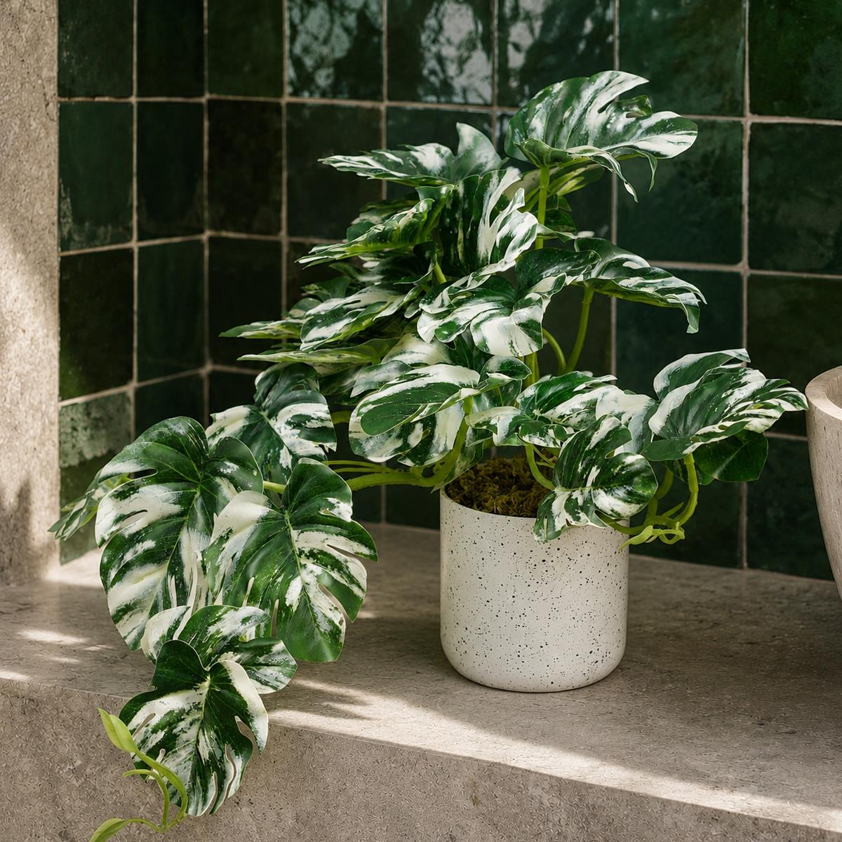30cm Artificial Variegated Green Potted Monstera Trailing Plant - Premium Quality