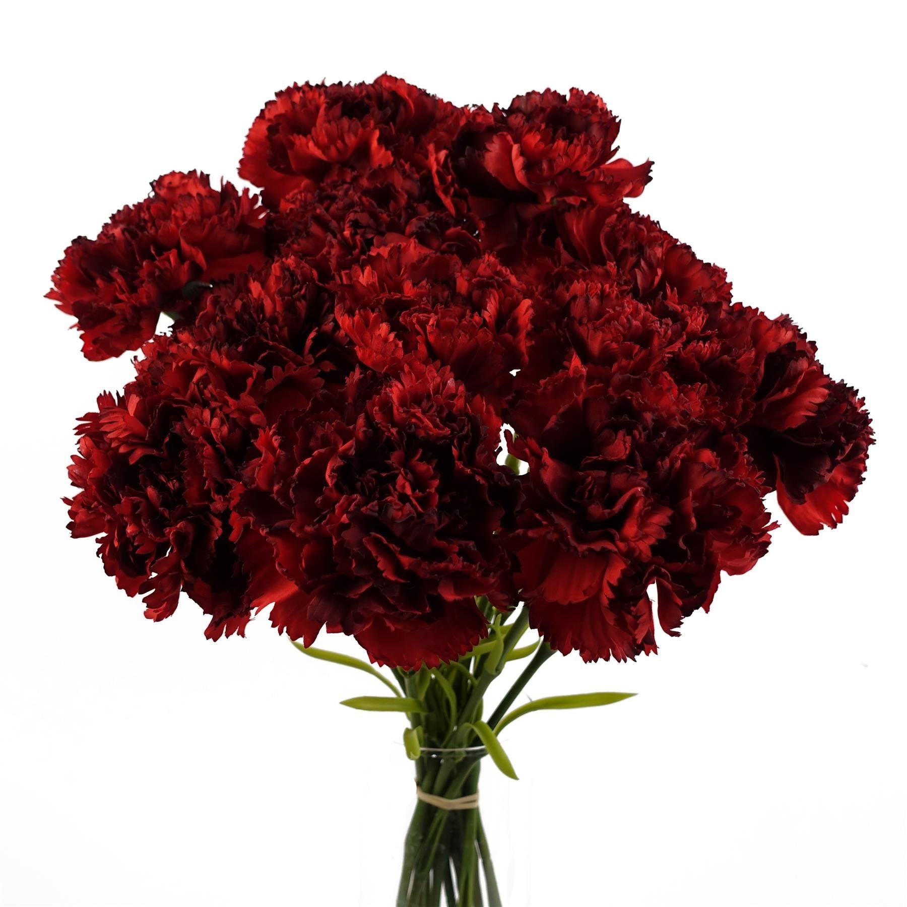 12 x Red Carnation Artificial Flowers - Premium Quality
