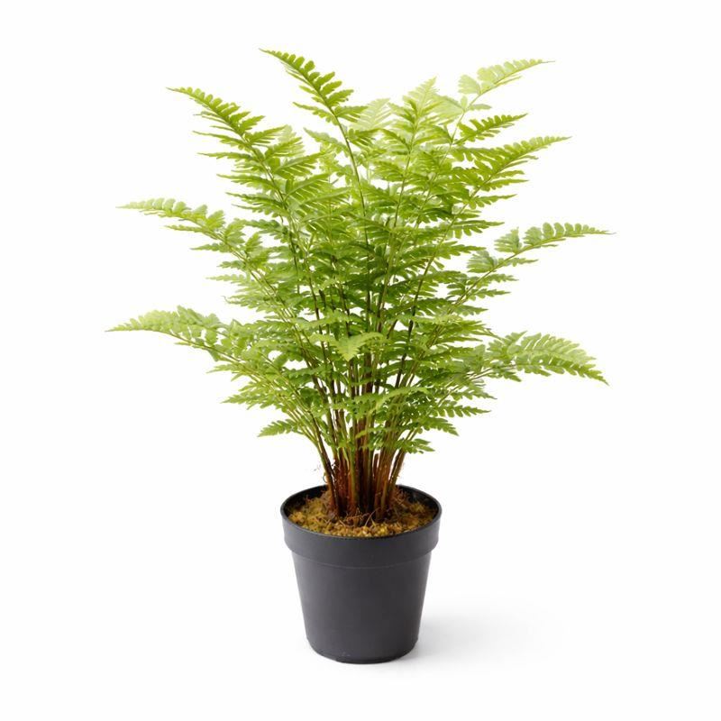 75cm Artificial Fern Plant - Premium Quality