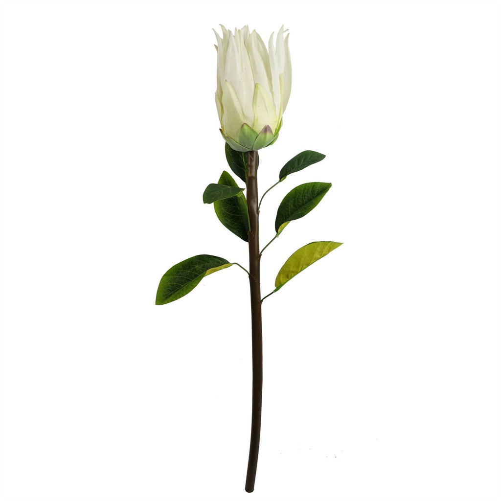 Artificial Pack of 6 x 65cm Protea Sugarbush Flower Stem - White - Premium Quality