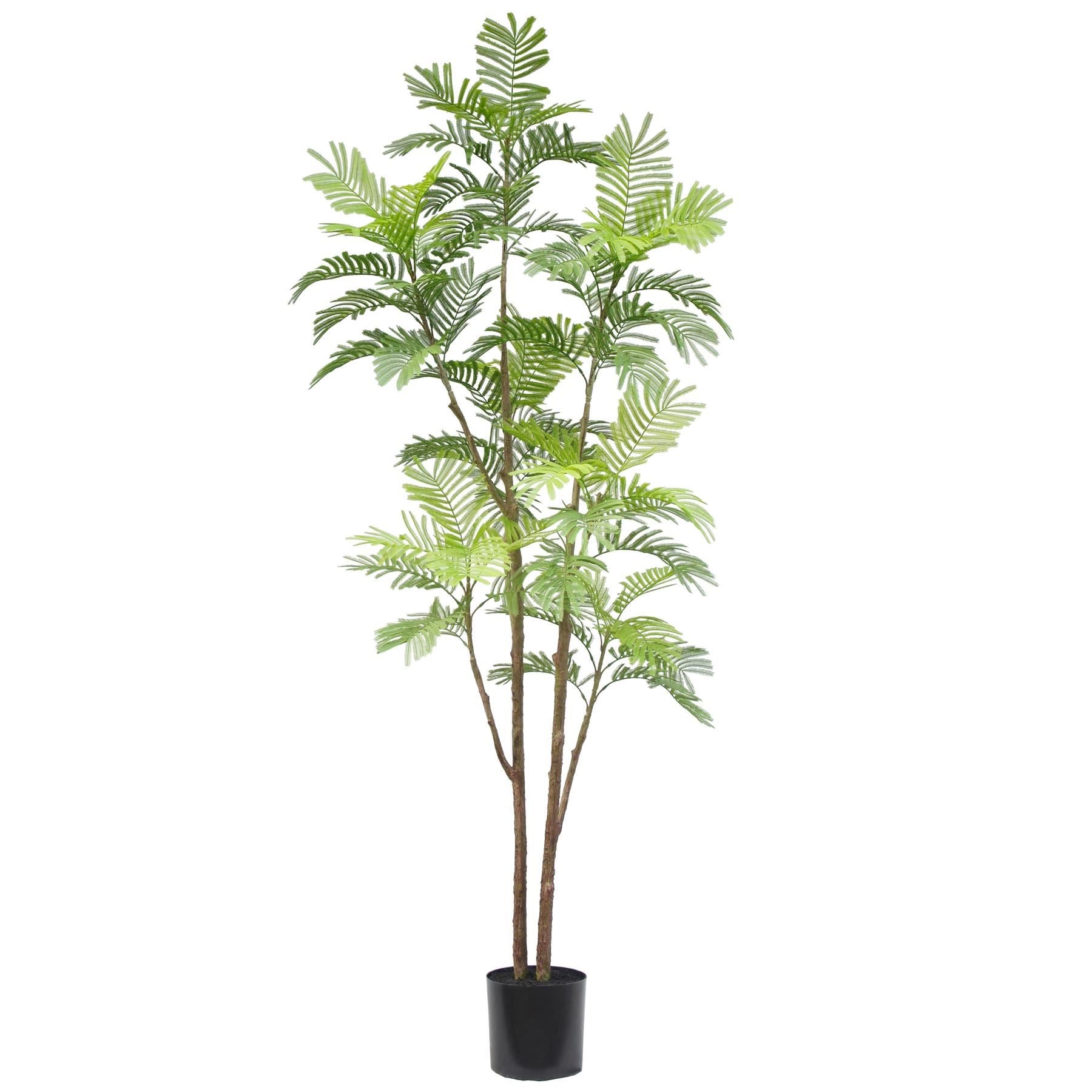 210cm Spiny Date Palm Realistic Artificial Tree - Premium Quality