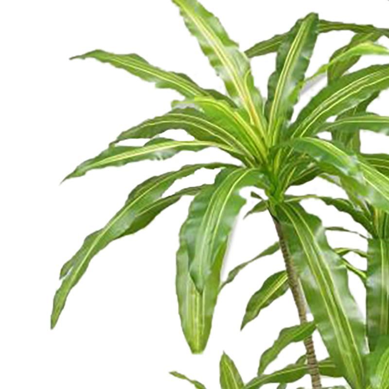 180cm Striped Dracaena Realistic Artificial Tree - Premium Quality