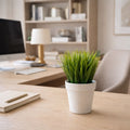 22cm Artificial Grass Plant - Premium Quality