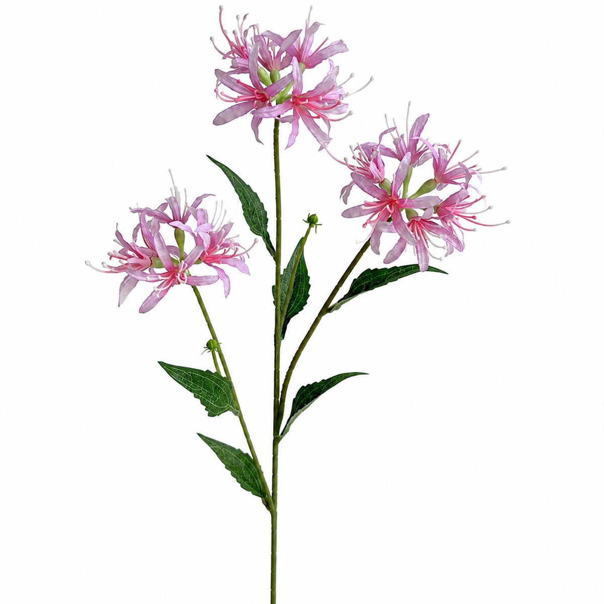 Faux Spider Lily Stems, 72cm with 3 Flower Heads - Set of 6