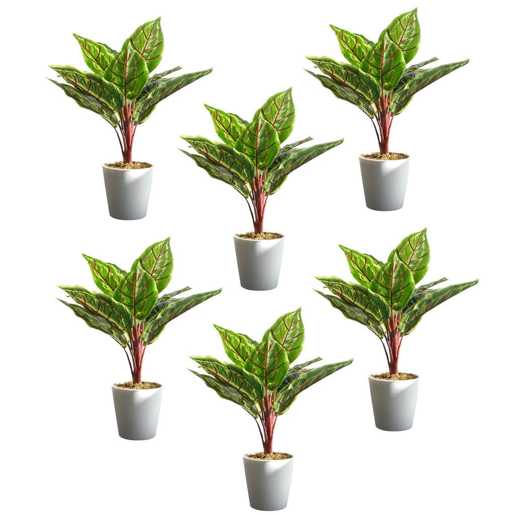 38cm Potted Artificial Calathea Veitchiane - Premium Quality