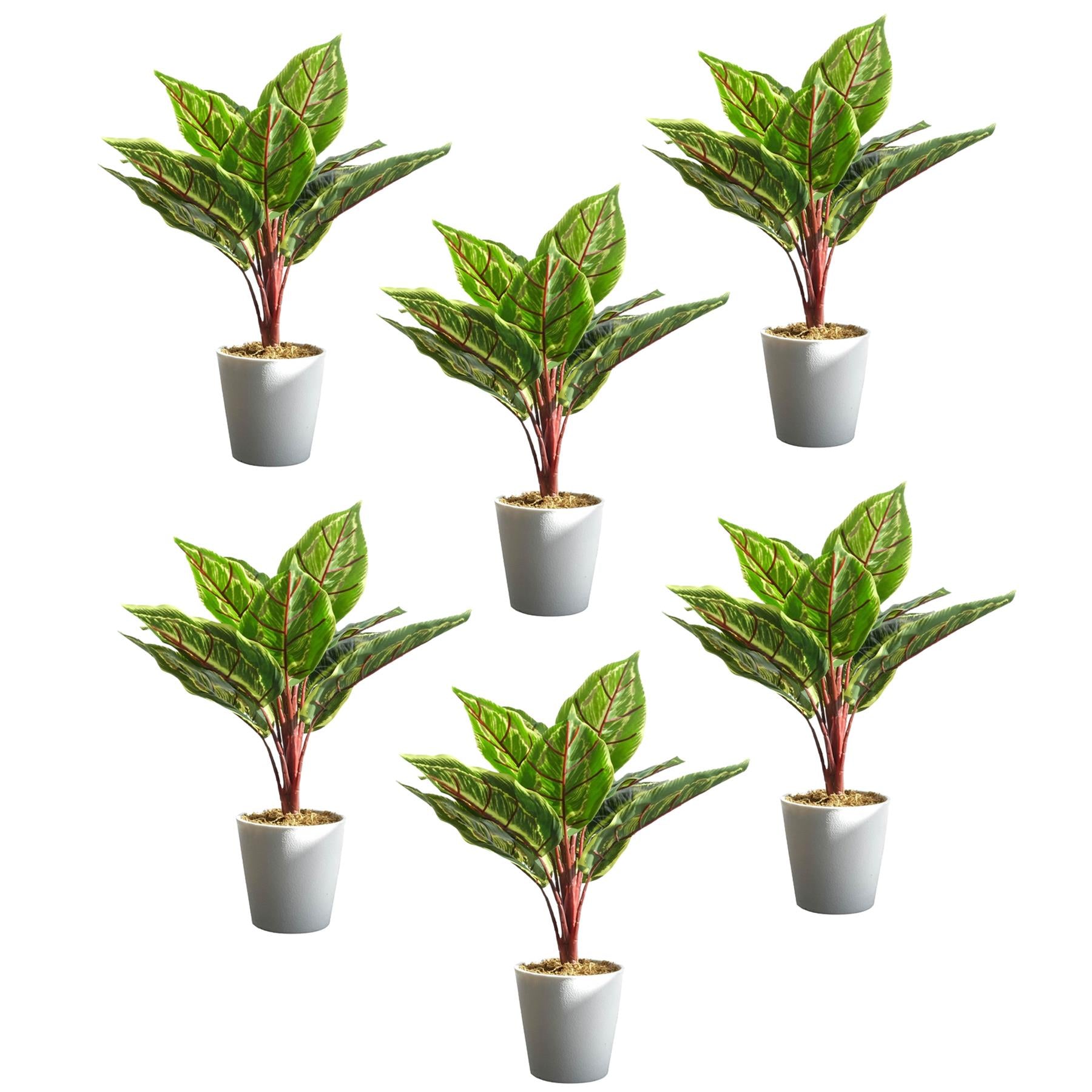 38cm Potted Artificial Calathea Veitchiane - Premium Quality