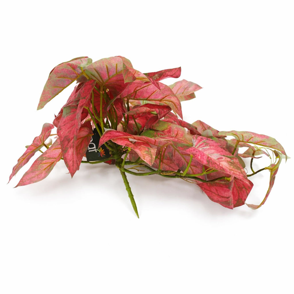 30cm Artificial Trailing Red Caladium - Premium Quality