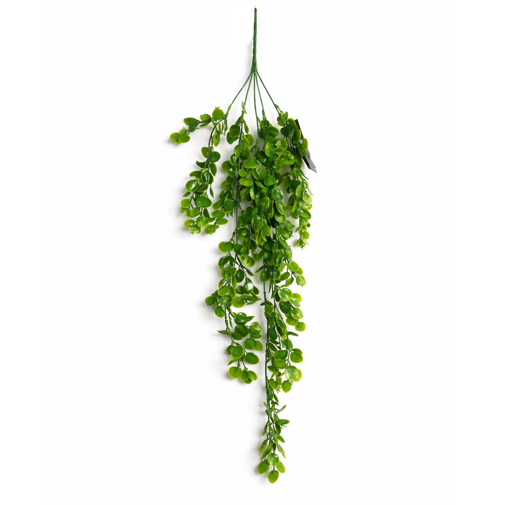 75cm Artificial Trailing Round Botanik Hanging Foliage Plant - Classic Gloss Green - Premium Quality