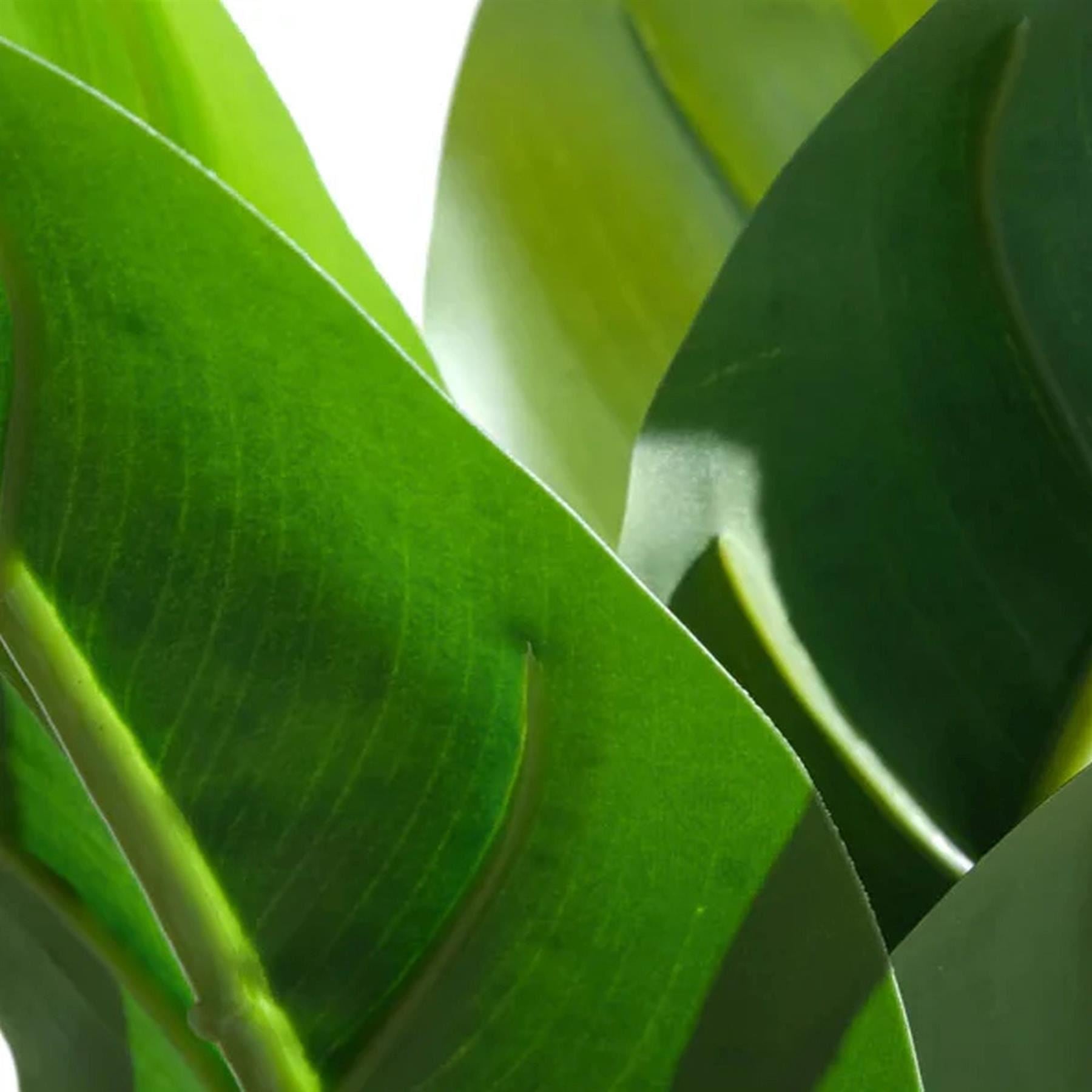 45cm Artificial Aureum Plant - Premium Quality