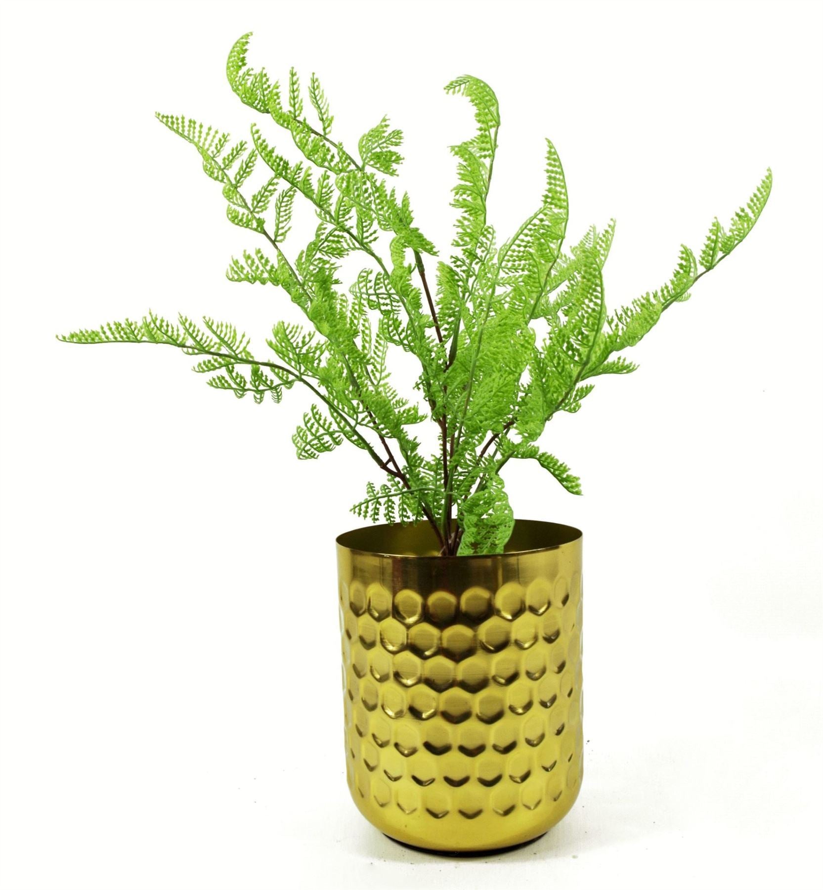 Artificial 6 x 50cm Southern Wood Fern Bush Dark Green Plant - Premium Quality